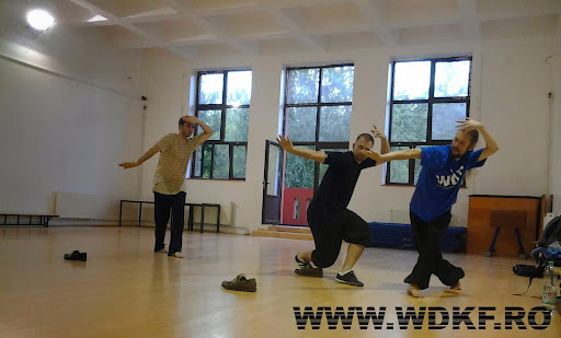 WDKF Wudang Kung Fu Bucharest