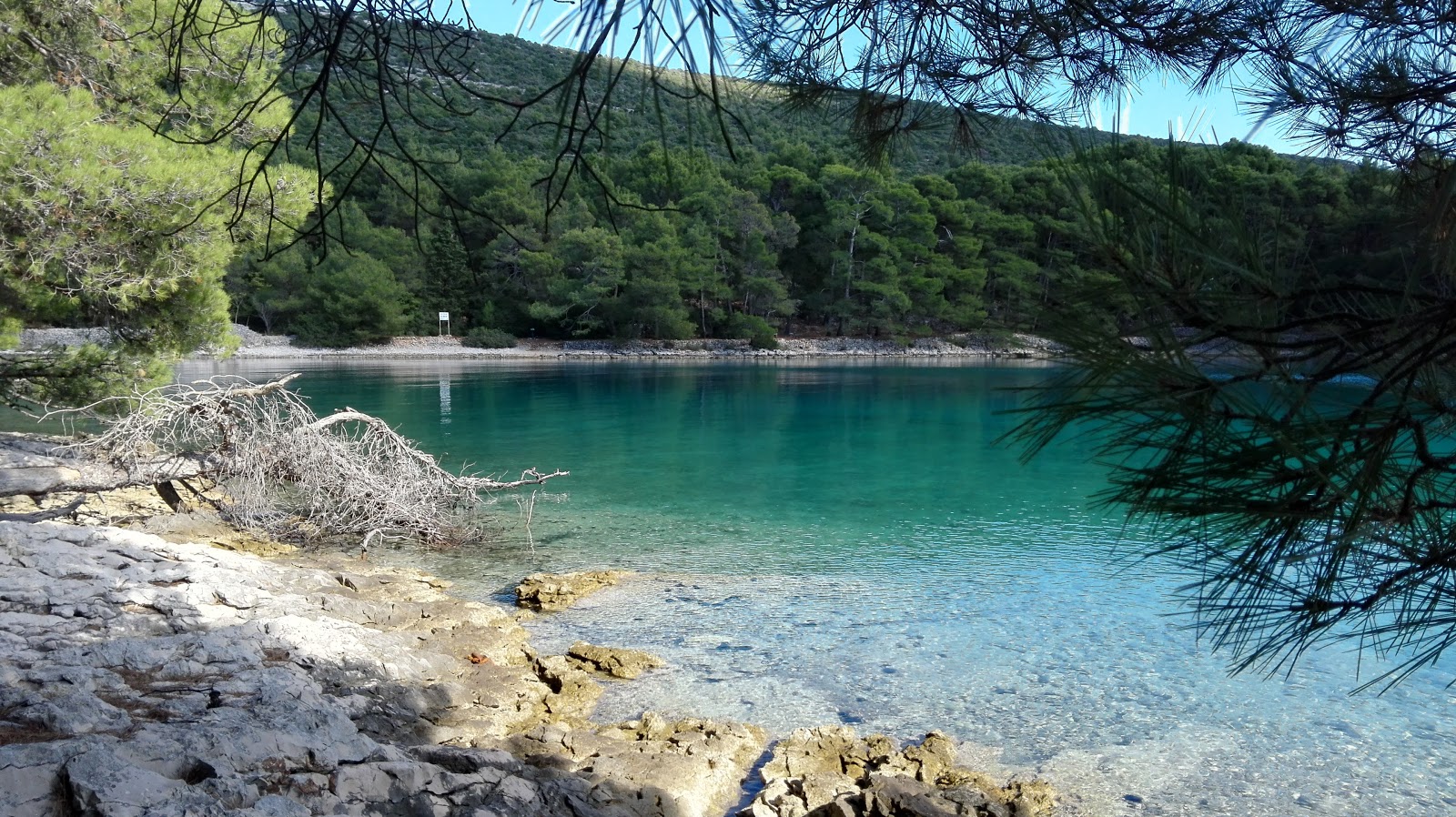 Foto de Krivica beach con piedra superficie