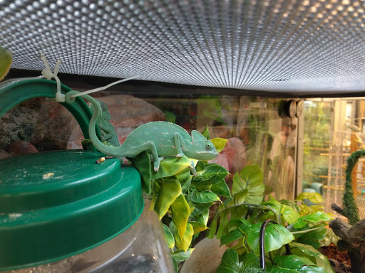 Pet Supply Store «Petco Animal Supplies», reviews and photos, 110 Percival Rd, Columbia, SC 29206, USA