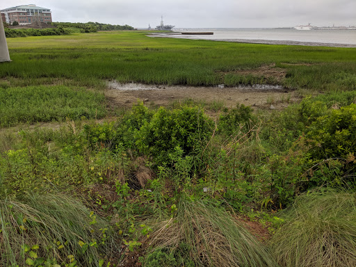 Water Park «Memorial Waterfront Park», reviews and photos, 99 Harry M. Hallman Jr Blvd, Mt Pleasant, SC 29464, USA