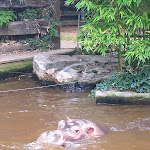 Photo n° 11 de l'avis de Stéphanie. fait le 09/09/2023 à 20:55 pour Zoo de La Flèche à La Flèche