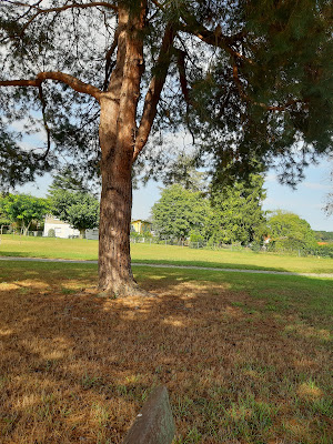 Art et Paysages à Rivehaute