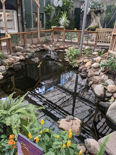 Non-Profit Organization «Butterfly House & Aquarium», reviews and photos, 4320 S Oxbow Ave, Sioux Falls, SD 57106, USA
