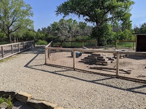 Hutchinson Zoo - photo 22