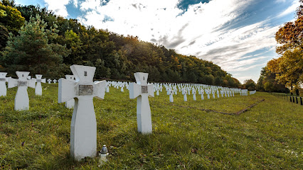 Меморіальний цвинтар вояків дивізії СС "Галичина"