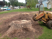Will Tree Services - Photo 8 - Car repair in , Long Beach