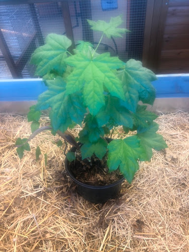 Pet Store «Double M Feed Garden & Pet Supply», reviews and photos, 1121 Gause Blvd, Slidell, LA 70458, USA