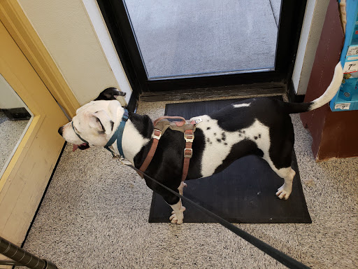 Pet Supply Store «Petco Animal Supplies», reviews and photos, 179 N Milwaukee St, Boise, ID 83704, USA