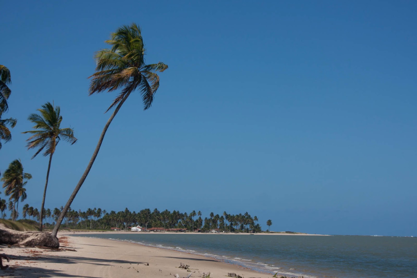 Photo de Plage de Coqueirinho Nord - recommandé pour les voyageurs en famille avec des enfants