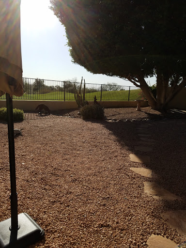 Country Club «Red Mountain Ranch Country Club», reviews and photos, 6425 E Teton Cir, Mesa, AZ 85215, USA