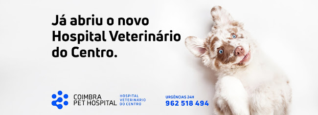 Avaliações doCoimbra Pet Hospital - Hospital Veterinário do Centro em Coimbra - Hospital