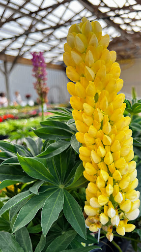 Hardware Store «JB Hostetter & Sons», reviews and photos, 1225 W Main St, Mount Joy, PA 17552, USA