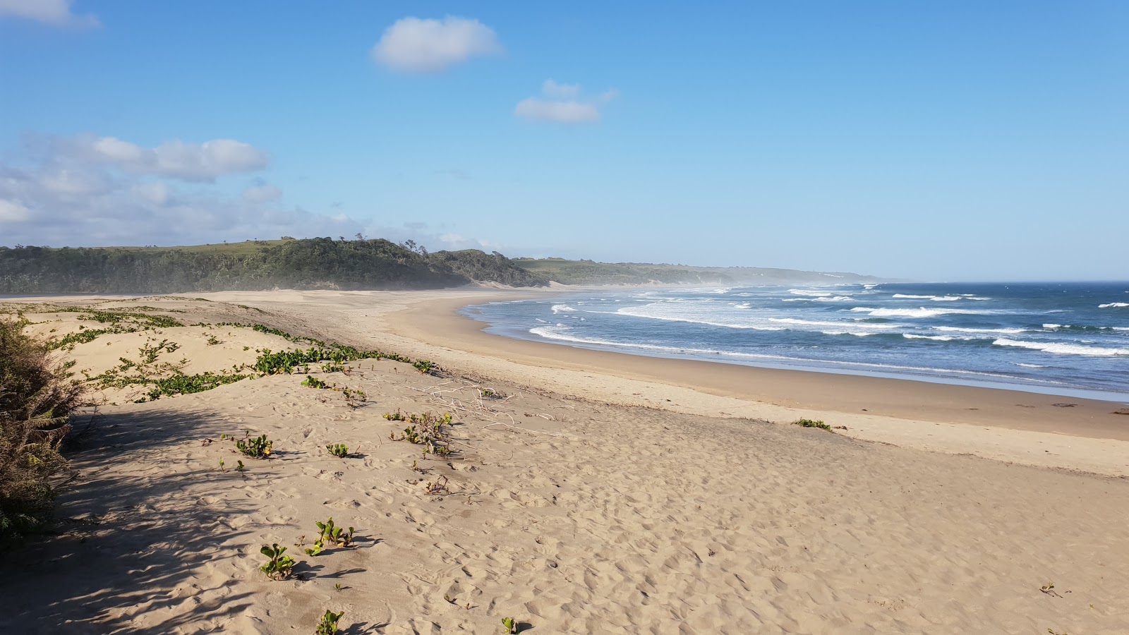 Seagulls beach的照片 带有明亮的沙子表面