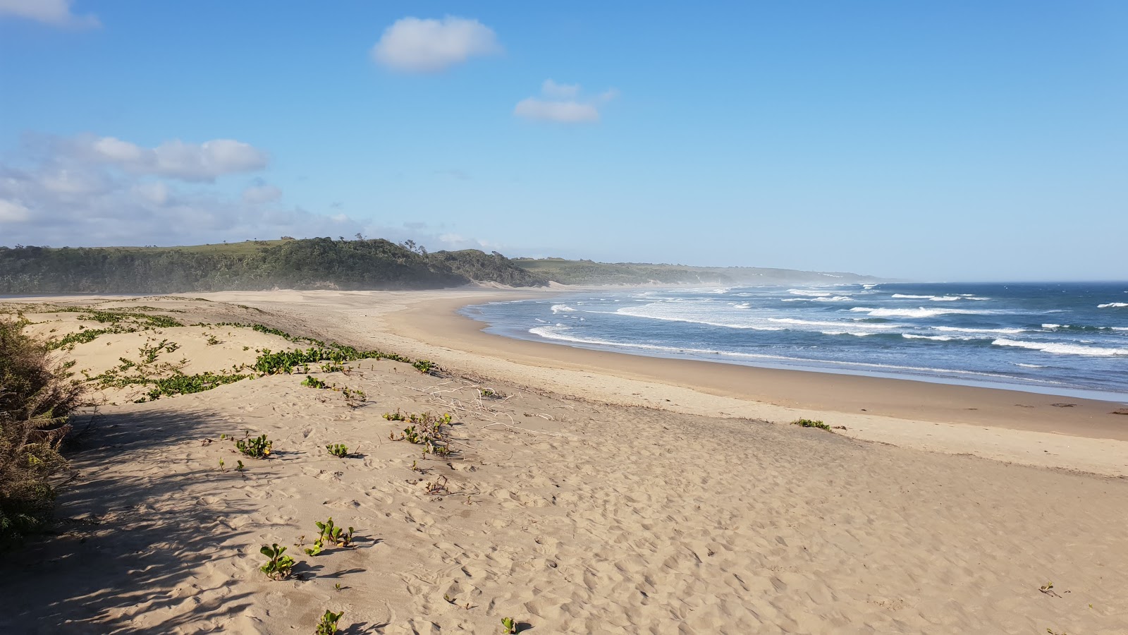 Foto de Seagulls beach com areia bege superfície