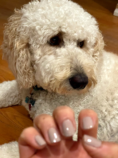 Spa «Opal Spa & Boutique», reviews and photos, 1066 41st Ave A103, Capitola, CA 95010, USA