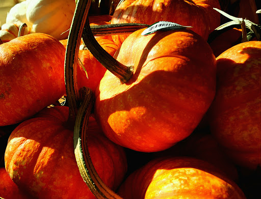 Grocery Store «Strack & Van Til», reviews and photos, 2627 N Elston Ave, Chicago, IL 60647, USA