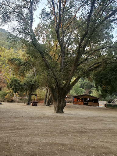 Hollister Hills State Vehicular Recreation Area image