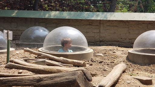 Zoo «Zoo Boise», reviews and photos, 355 Julia Davis Dr, Boise, ID 83702, USA