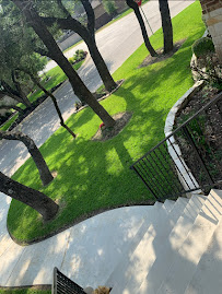 Sanchez Lawn and Tree Service - Photo 2 - Car repair in , San Antonio