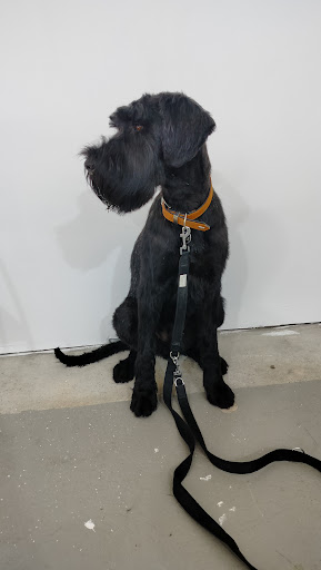 Hund im Glück Marktbreit unter Marktbreit, 