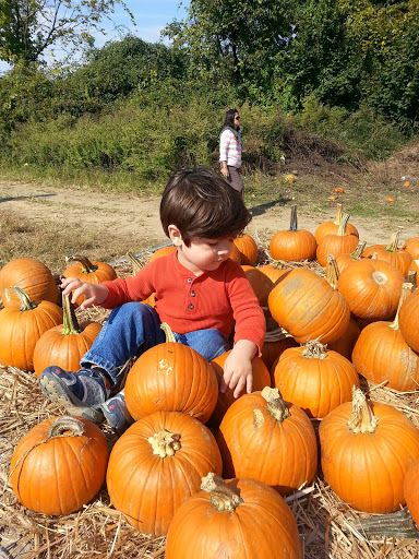 Wedding Venue «Flowerfield Celebrations», reviews and photos, 199 Mills Pond Rd, St James, NY 11780, USA