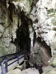 Waiomio Glowworm Caves