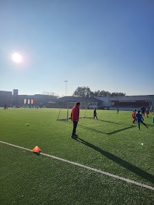 K. Zwevegem Sport Bekaertstraat 4, 8550 Zwevegem, Belgique