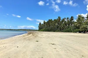 Praia de Tassimirim image
