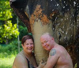 Elephant Care photo
