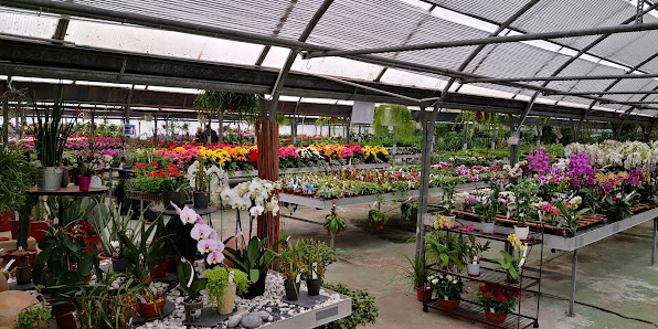 Jardinerie Roy & Fils Rte de Thonon 200, 1222 Genève, Suisse