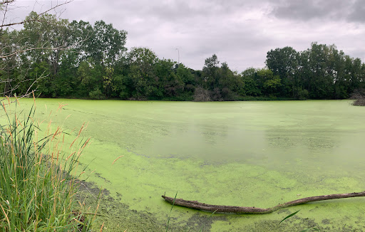 Nature Preserve «Wood Lake Nature Center», reviews and photos, 6710 Lake Shore Dr S, Minneapolis, MN 55423, USA