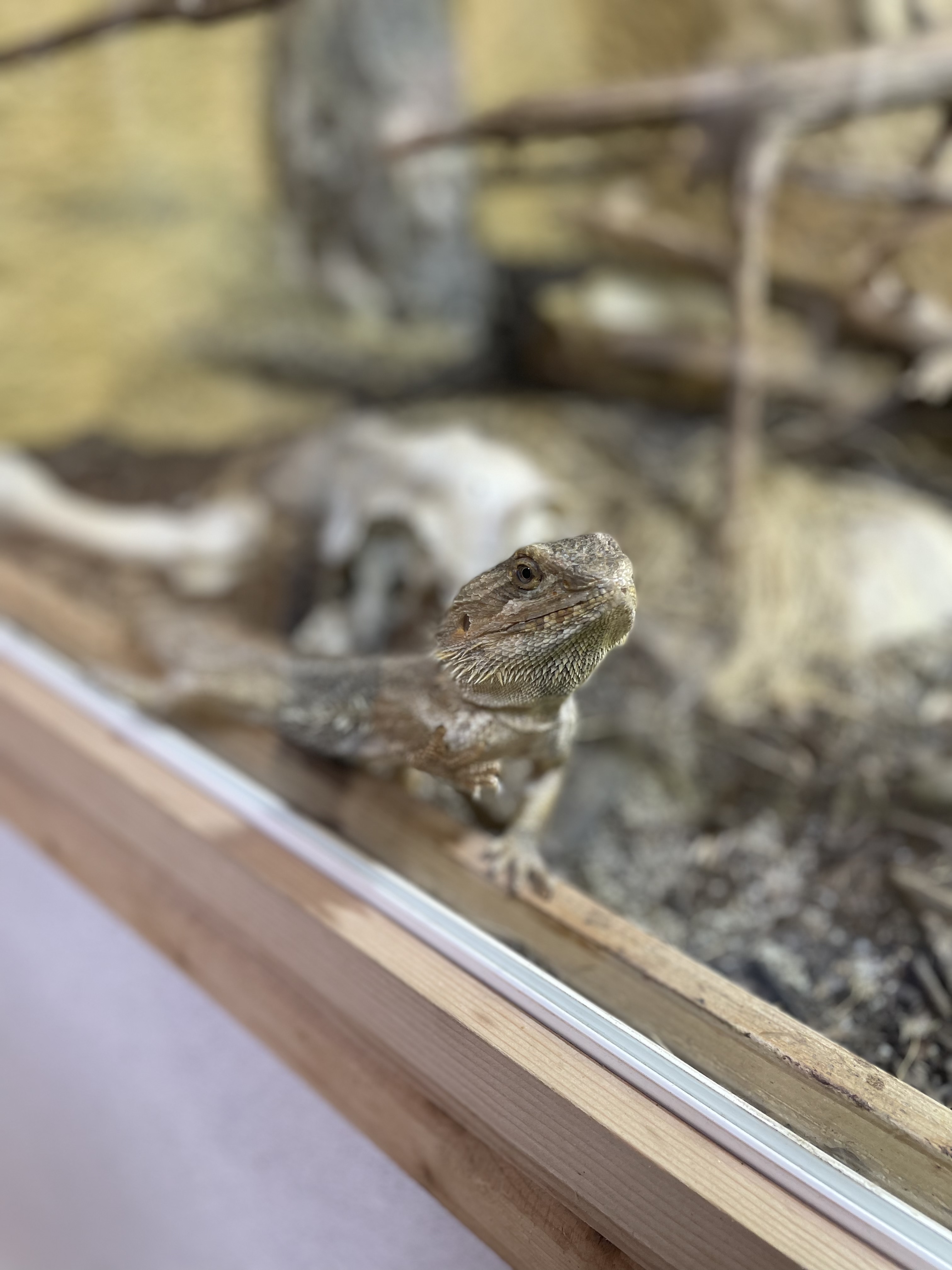 Photo n° 1 de l'avis de Loïc.e fait le 17/09/2021 à 07:49