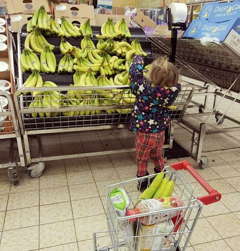 Supermarket «ALDI», reviews and photos, 707 S Wayne Rd, Westland, MI 48186, USA