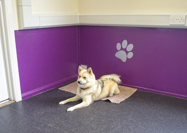 Reviews of Best Paw Forward Training Centre in Glasgow - Dog trainer