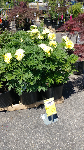 Home Improvement Store «The Home Depot», reviews and photos, 80 Universal Blvd, Warwick, RI 02886, USA