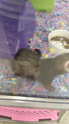 Pet Supply Store «Petco Animal Supplies», reviews and photos, 1215-1309 NJ-33 #1, Hamilton Township, NJ 08690, USA