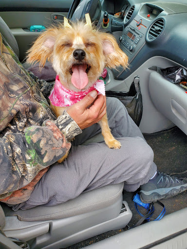 Pet Supply Store «Paws In The Park», reviews and photos, 17833 1st Avenue South, Seattle, WA 98148, USA