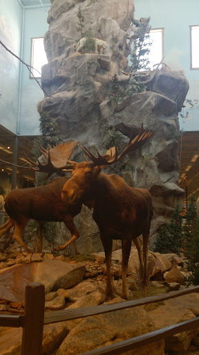Sporting Goods Store «Bass Pro Shops», reviews and photos, 5900 Sugarloaf Pkwy, Lawrenceville, GA 30043, USA