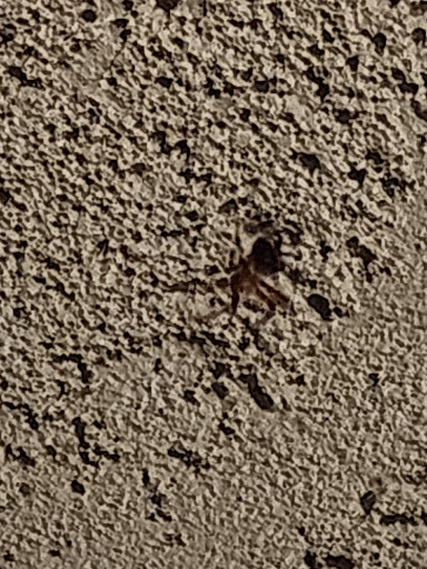 Brooks Pest Control image