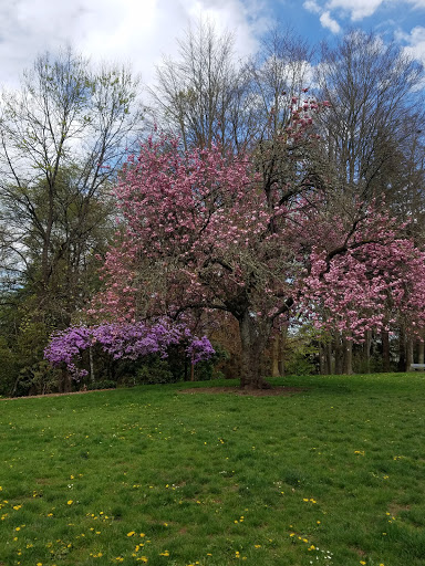 Park «Creston Park», reviews and photos, SE 44th Ave & Powell Blvd, Portland, OR 97206, USA