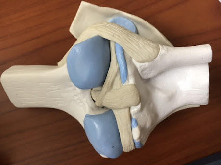 Orthopaedic Riga - Orthopaedic Riga