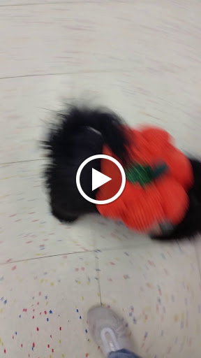 Pet Supply Store «Petco Animal Supplies», reviews and photos, 313 Homer M Adams Pkwy, Alton, IL 62002, USA