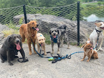 WufSter - Photo 6 - Car repair in , Staten Island