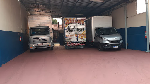 Logo da empresa - Mudanças e Carretos Nelson