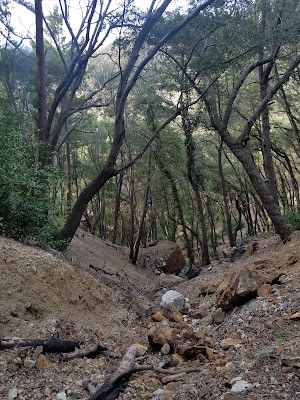 Mt. Baldy Wilderness Preserve - photo 45