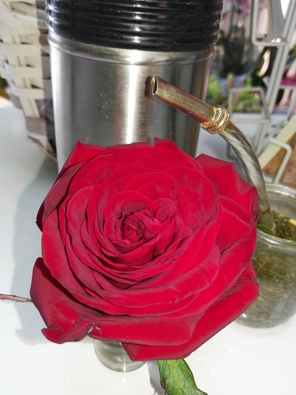 Imagen de Flores para Todos Madrid (9 de 16)