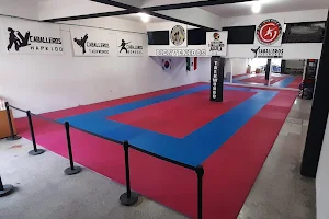 Centro de Artes Marciales "Caballeros Águila" image