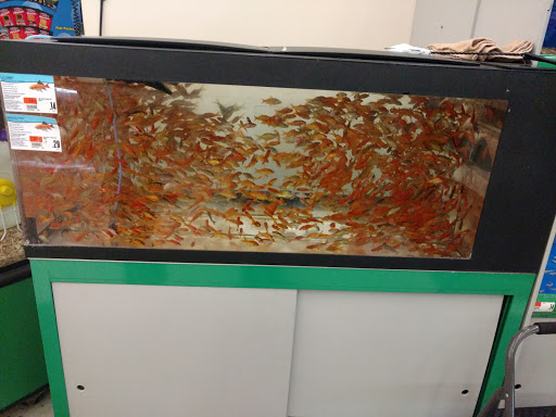 Pet Supply Store «Pet Supplies Plus», reviews and photos, 30450 Lakeshore Blvd, Willowick, OH 44095, USA