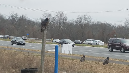 Recreation Center «Kid Junction», reviews and photos, 4090 Lafayette Center Dr E, Chantilly, VA 20151, USA