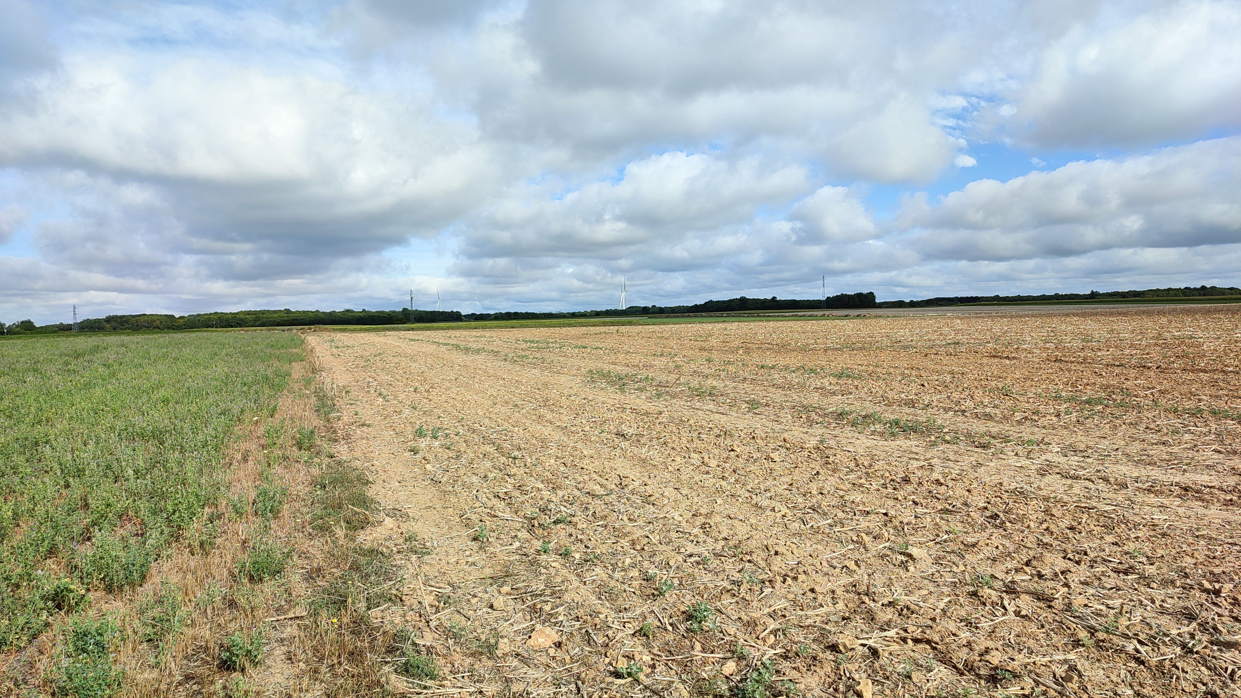 Photo n° 8 de l'avis de Jean-Christophe.u fait le 08/08/2023 à 11:32